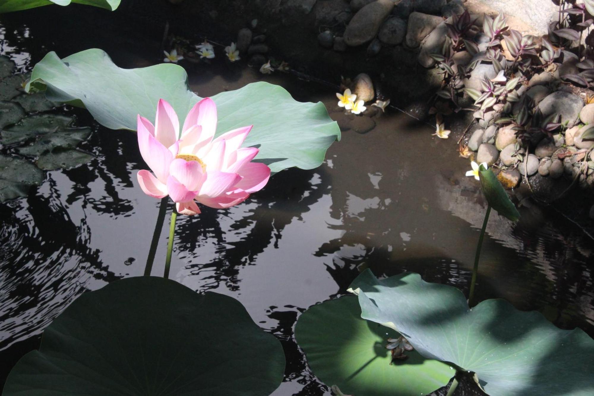 Dynasty Muine Resort Ap Thien Phuoc Kültér fotó
