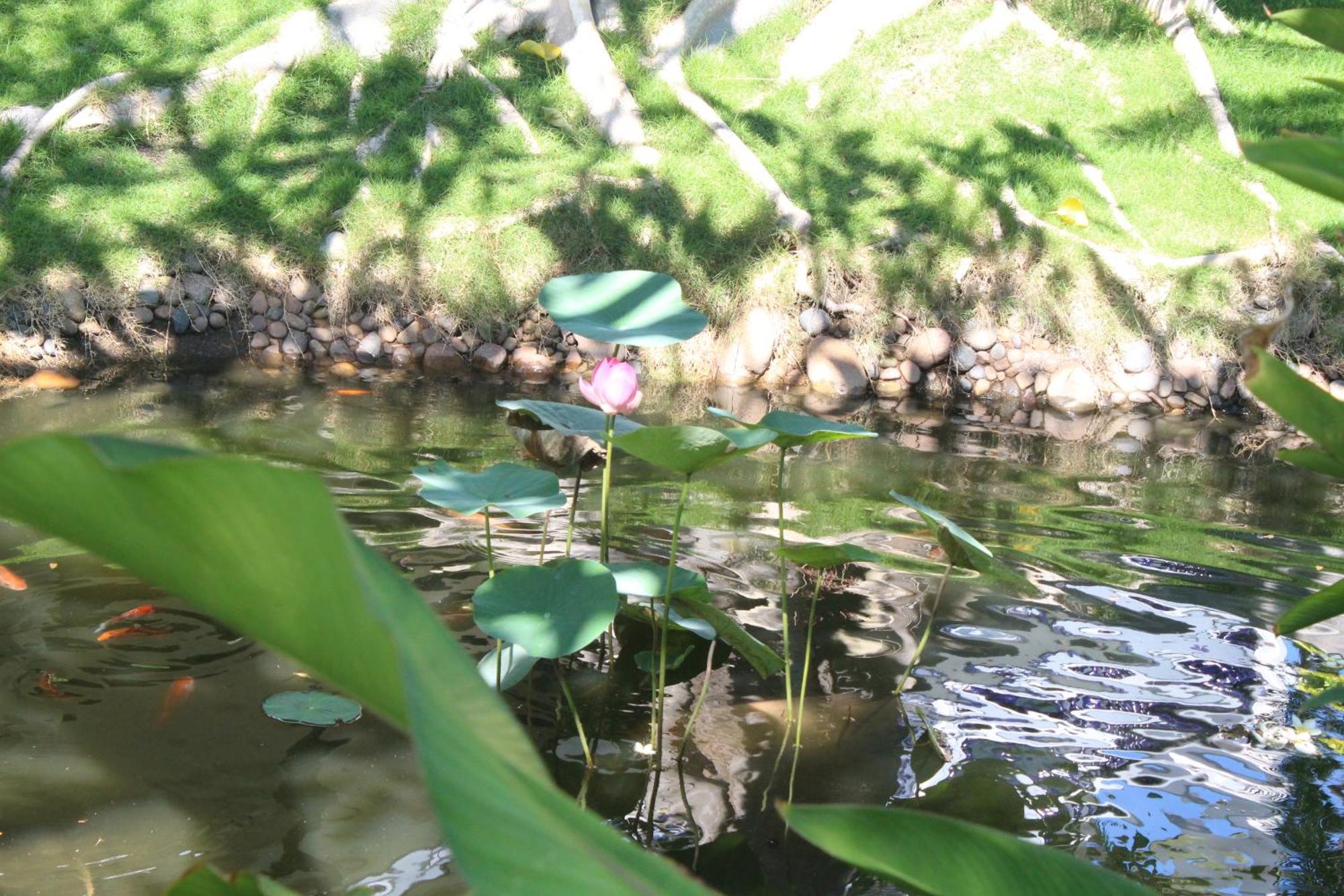 Dynasty Muine Resort Ap Thien Phuoc Kültér fotó